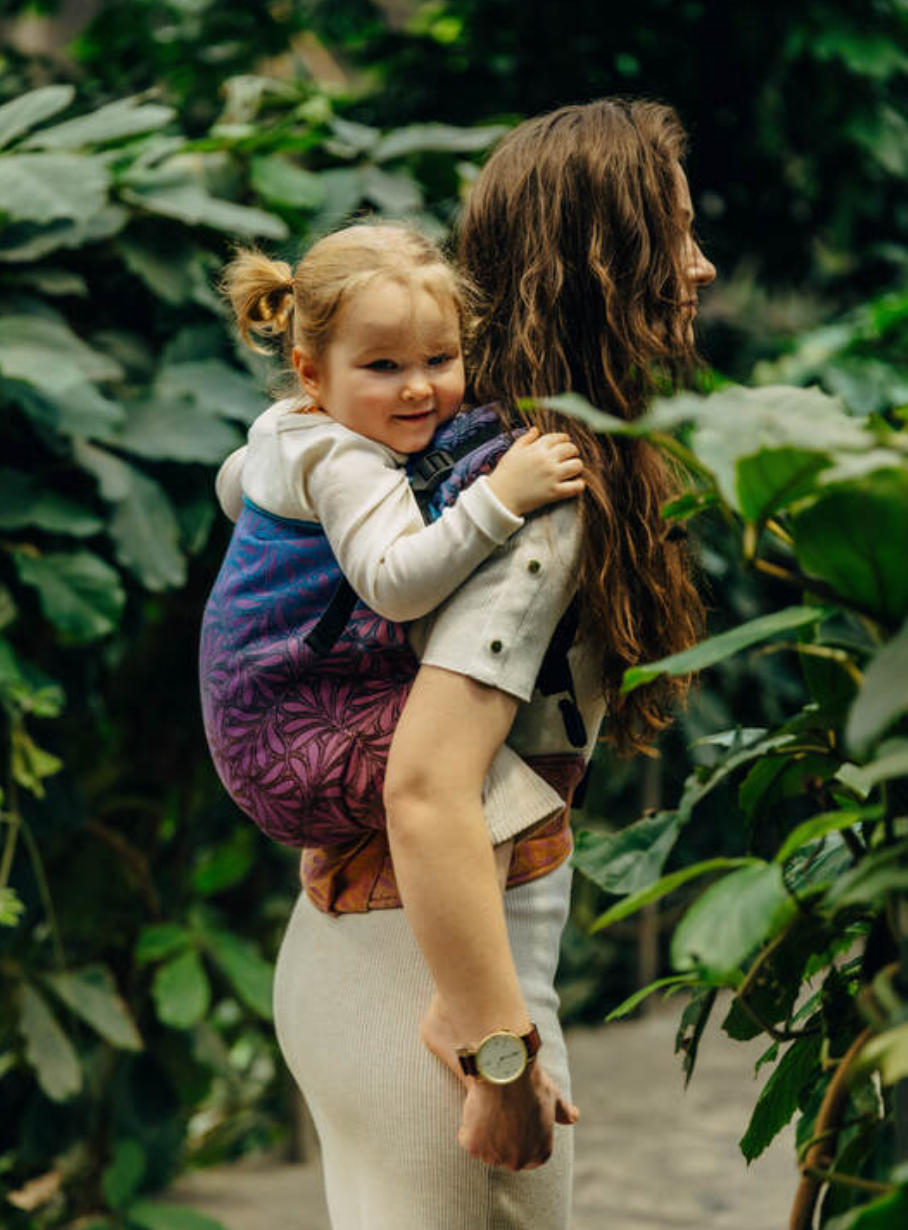 Infinity Roller LennyPreschool Carrier by LennyLamb LennyLamb at Little Zen One