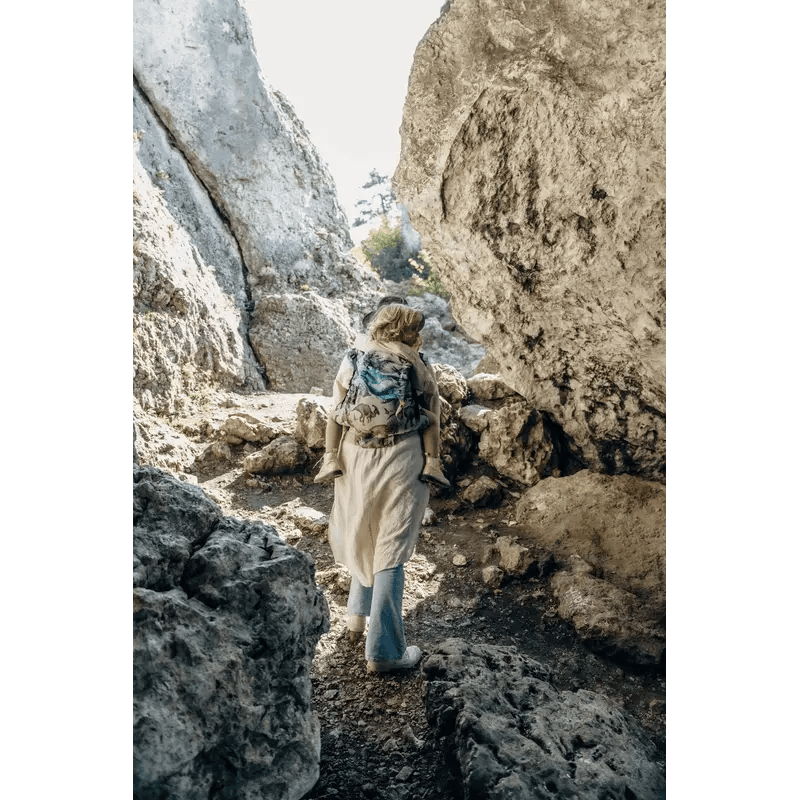 Jurassic Park Fossil LennyPreschool Carrier by LennyLamb - Buckle CarrierLittle Zen One5907557787154