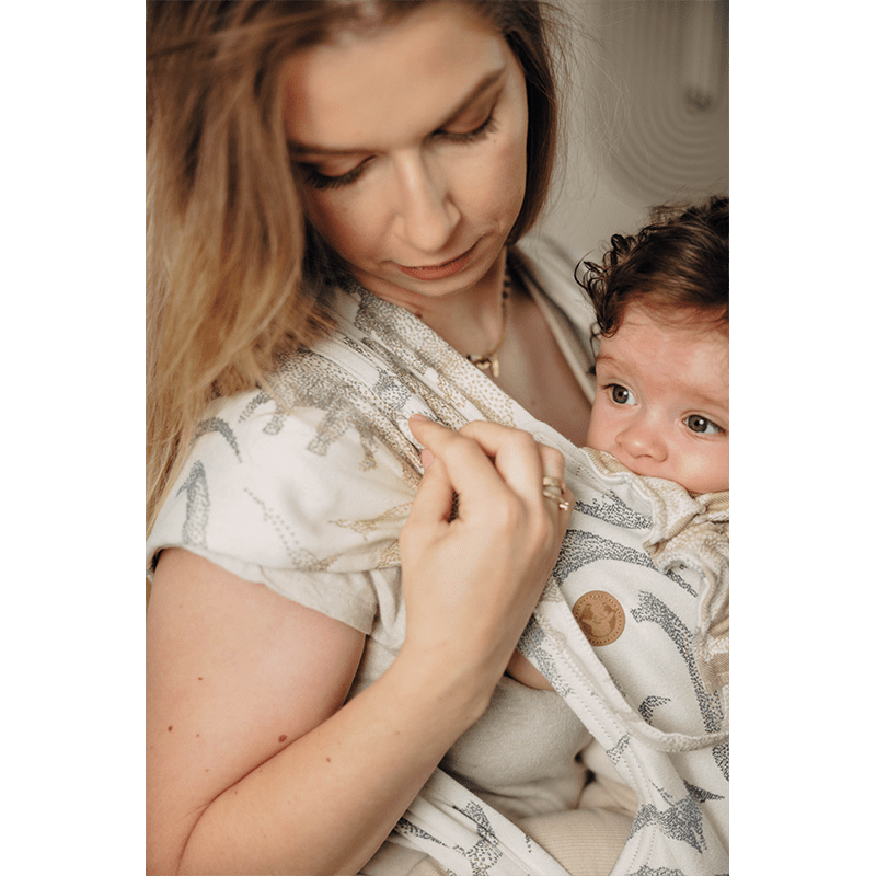 Jurassic Park Ice Desert Toddler Wrap - Tai by Lennylamb - Mei TaiLittle Zen One5907557786287