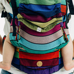 LennyLamb Carouselofcolors LennyUpGrade Pro Lnnupgrd Pro Crsl Clrs