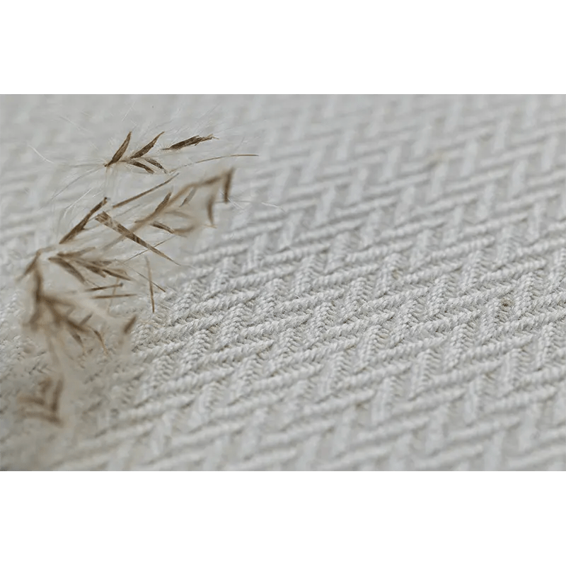 Luce LennyPreschool Carrier by LennyLamb - Buckle CarrierLittle Zen One5907557779586