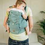 Luminara LennyPreschool Carrier