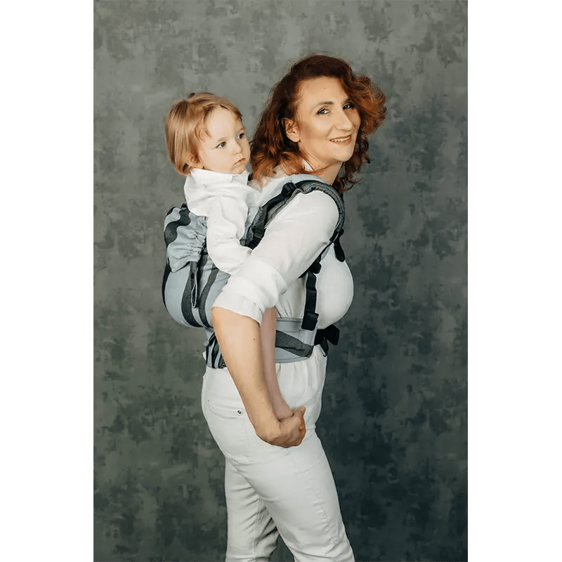Moon Rock LennyPreschool Carrier