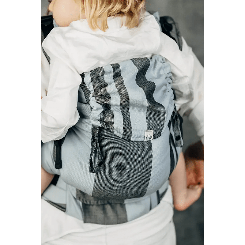 Moon Rock LennyPreschool Carrier