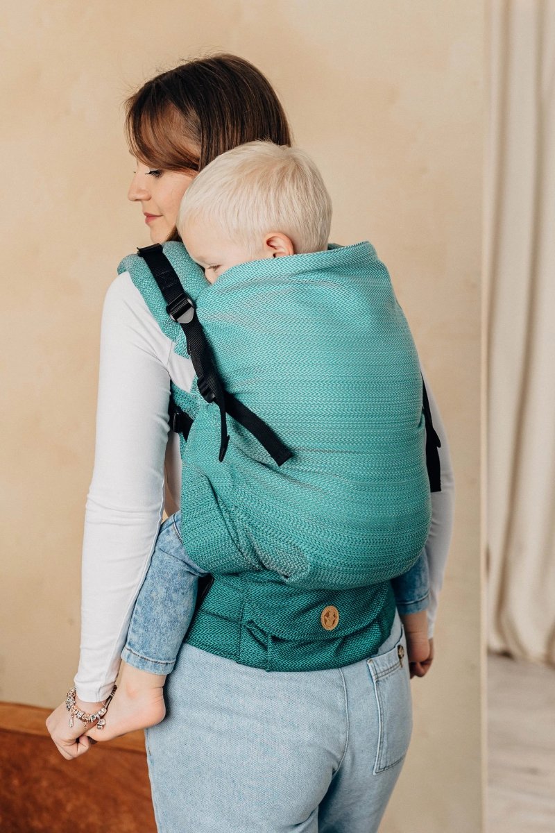 Ombre Green LennyPreschool Carrier
