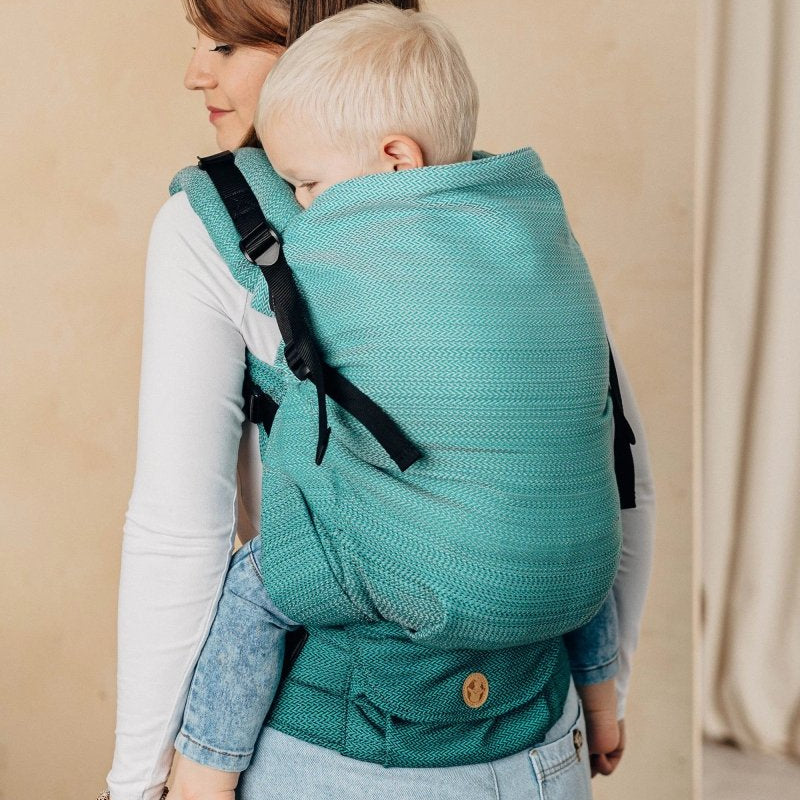Ombre Green LennyPreschool Carrier