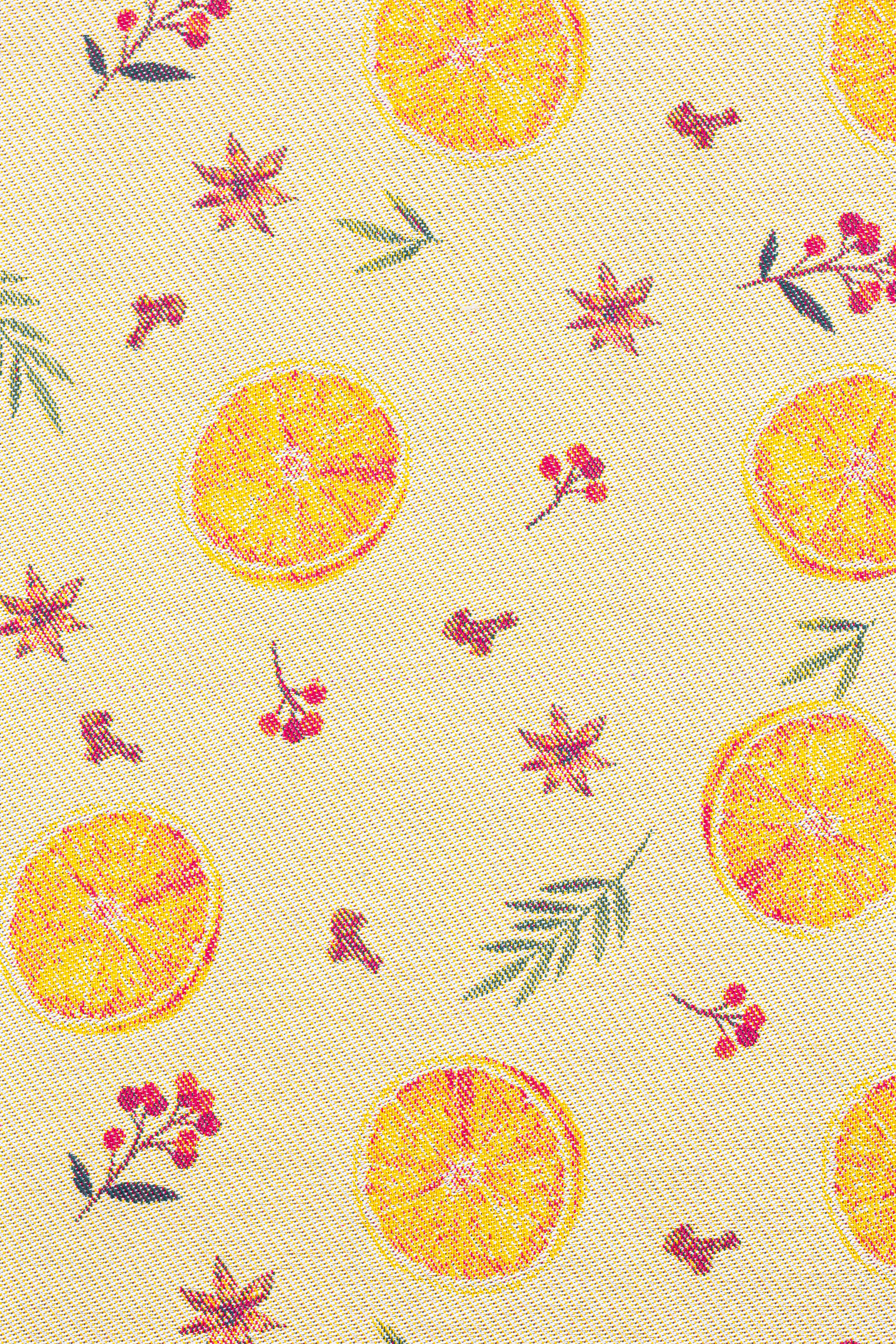 Orange Spice Sliced by LennyLamb, obverse (cream side)