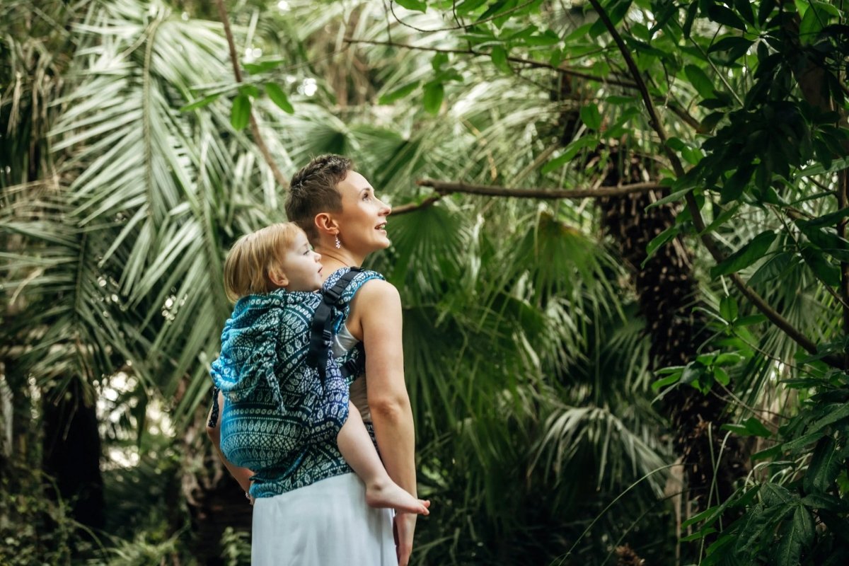 Peacock's Tail Sea Angel LennyPreschool Carrier by LennyLamb - Buckle CarrierLittle Zen One5907557780285