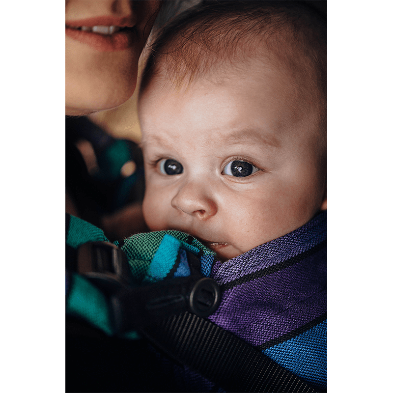 Promenade LennyUpGrade by LennyLamb - Buckle CarrierLittle Zen One5907557758826