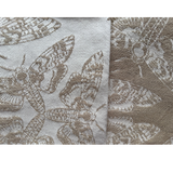 Queen of the Night Lumina Toddler LennyGo by Lennylamb LennyLamb at Little Zen One