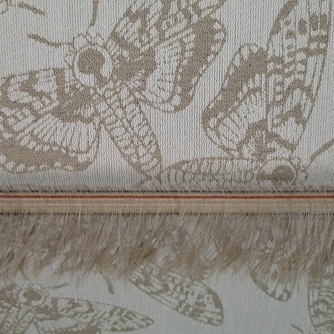 Queen of the Night Lumina Toddler LennyGo by Lennylamb - Buckle CarrierLittle Zen One82450256