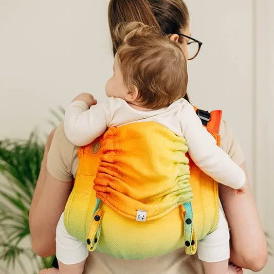 Rainbow Baby Toddler Onbuhimo Pro