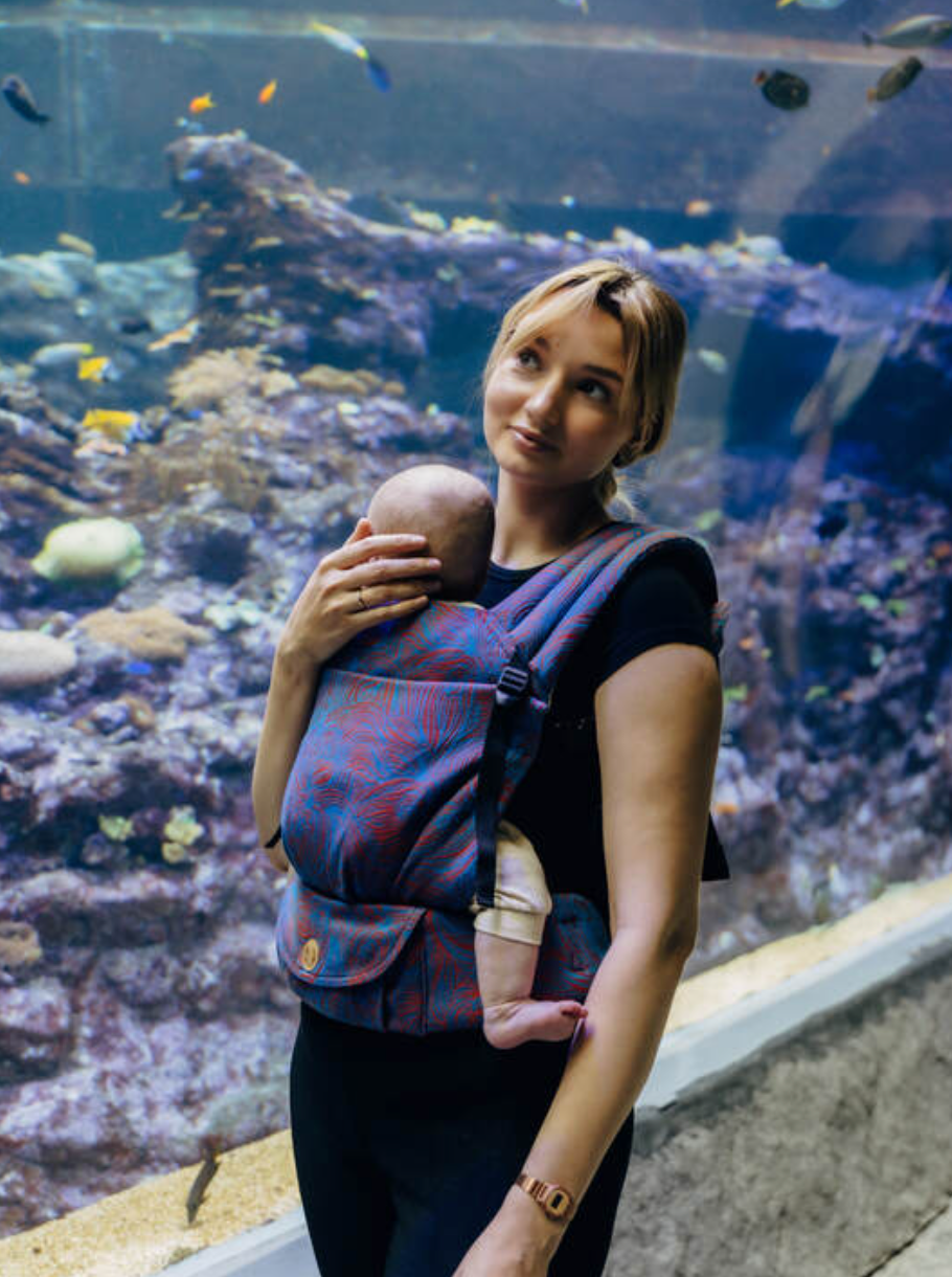 Rapunzel Swirl LennyLight Baby Carrier