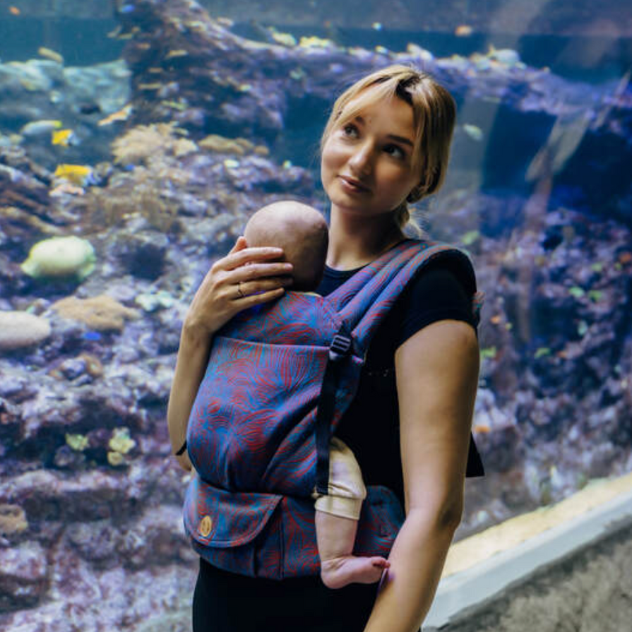 Rapunzel Swirl LennyLight Baby Carrier by LennyLamb - Buckle CarrierLittle Zen One5907557788632