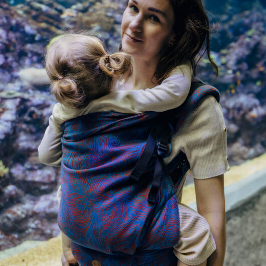 Rapunzel Swirl LennyPreschool Carrier by LennyLamb - Buckle CarrierLittle Zen One5907557788649