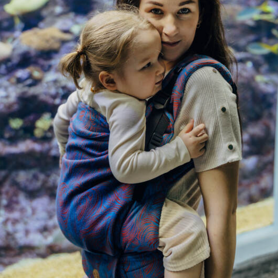 Rapunzel Swirl LennyPreschool Carrier by LennyLamb - Buckle CarrierLittle Zen One5907557788649