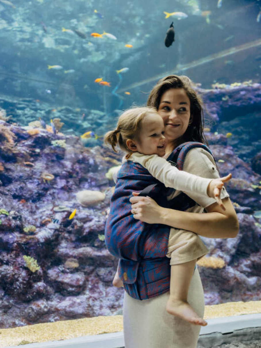 Rapunzel Swirl LennyPreschool Carrier by LennyLamb LennyLamb at Little Zen One