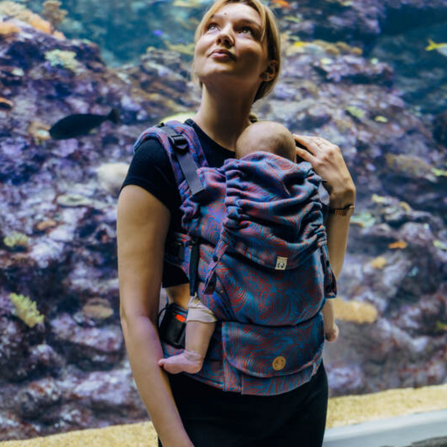 Rapunzel Swirl LennyUpGrade by LennyLamb - Buckle CarrierLittle Zen One5907557788656