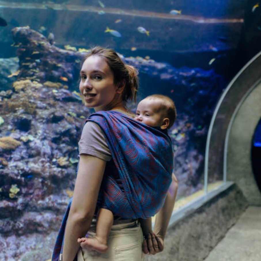 Rapunzel Swirl Woven Wrap by LennyLamb - Woven WrapLittle Zen One5907557788564