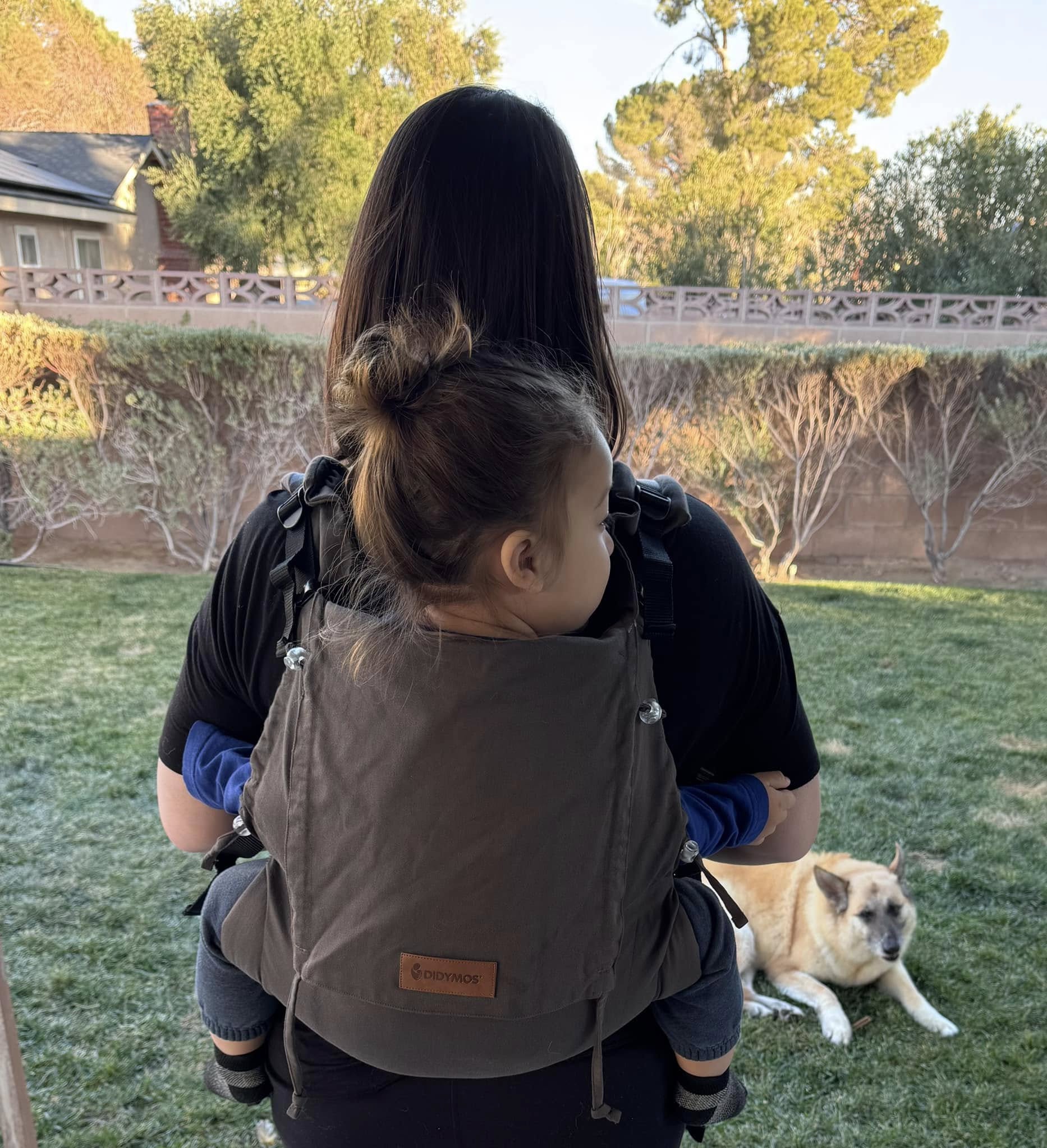 Didymos Full Buckle DidyFix Mocha Amanda Quintanar