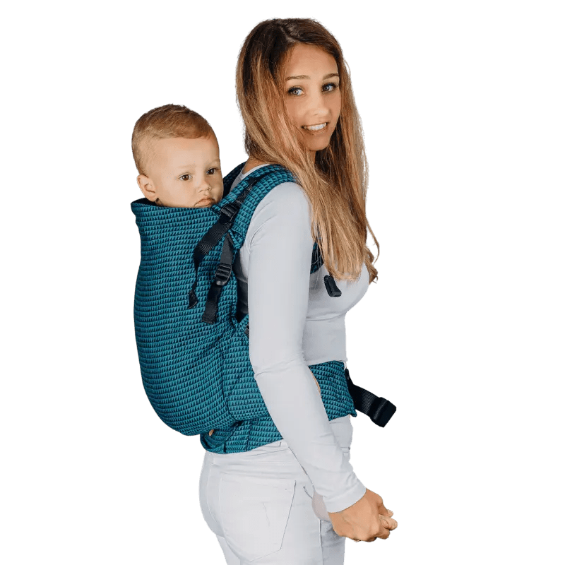 Tanzanite LennyPreschool Carrier
