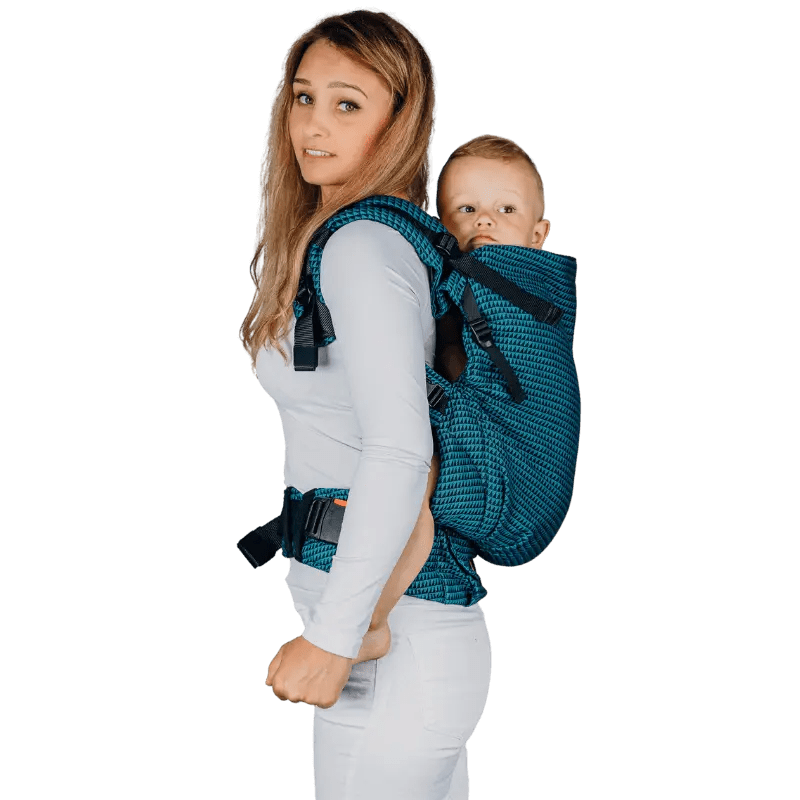 Tanzanite LennyPreschool Carrier