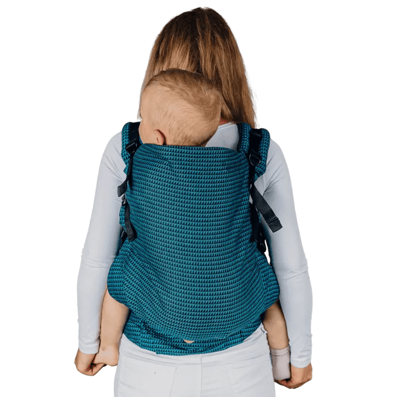 Tanzanite LennyPreschool Carrier by LennyLamb - Buckle CarrierLittle Zen One5907557752732