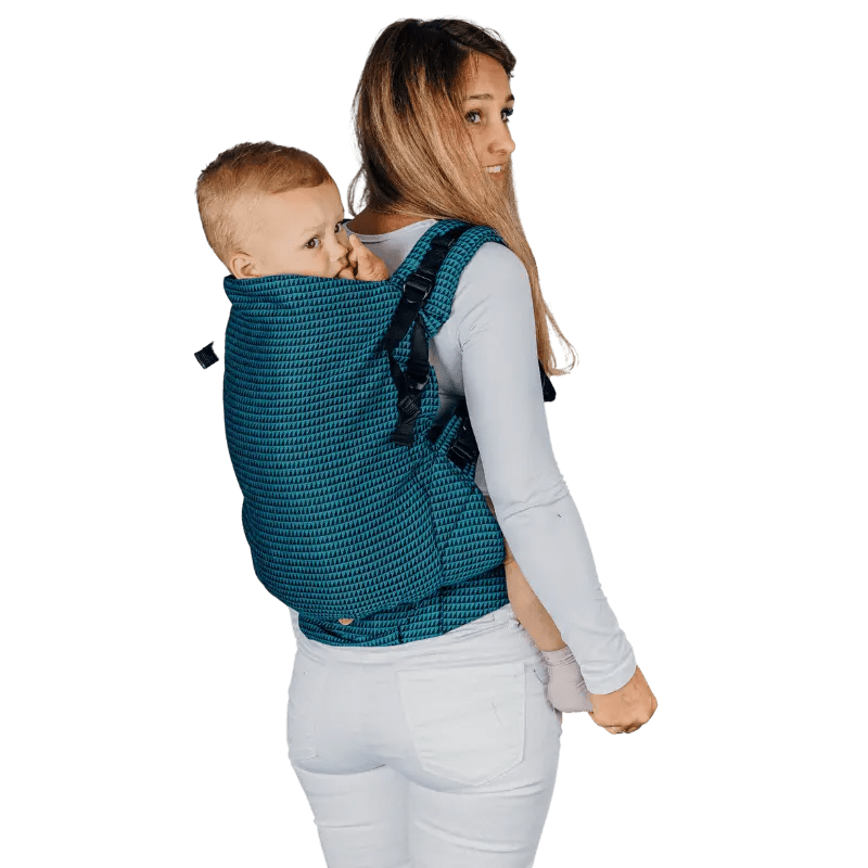Tanzanite LennyPreschool Carrier