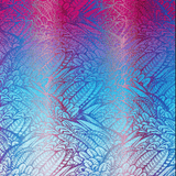 Wild Soul Blaze Toddler Onbuhimo PRO by LennyLamb - OnbuhimoLittle Zen One06379344