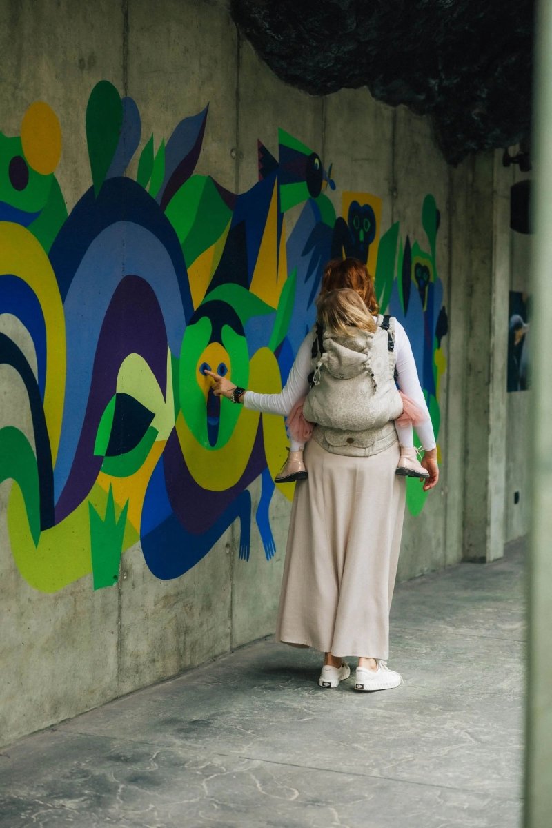 Wild Wine Path LennyPreschool Carrier by LennyLamb - Buckle CarrierLittle Zen One79996752