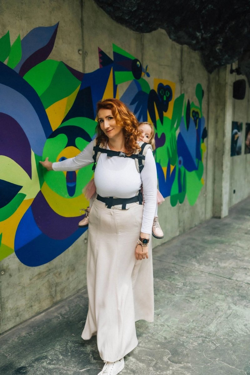 Wild Wine Path LennyPreschool Carrier by LennyLamb - Buckle CarrierLittle Zen One79996752