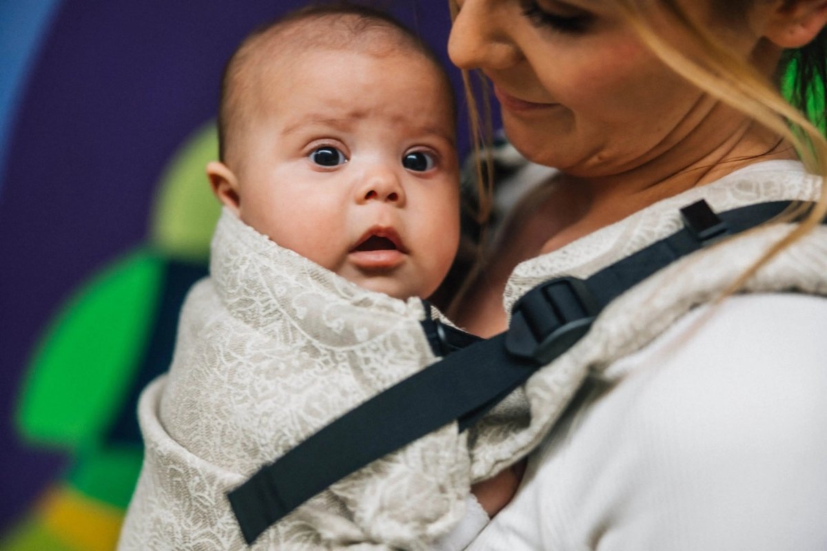 Wild Wine Path LennyUpGrade by LennyLamb - Buckle CarrierLittle Zen One5907557785136