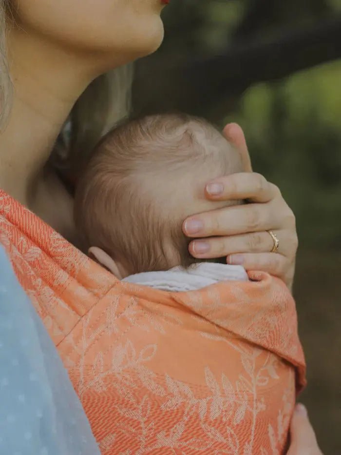 Willow Esprit Bairn Baby Carrier by Oscha - Buckle CarrierLittle Zen One68230480