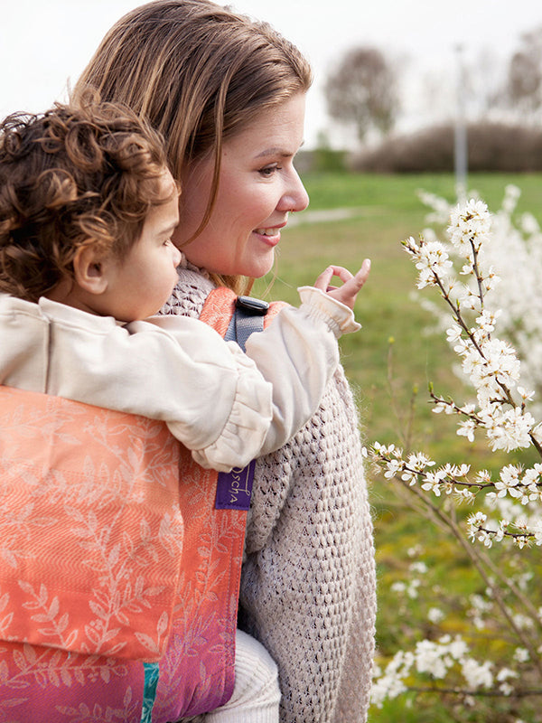 Willow Esprit Onbuhimo Baby Carrier by Oscha Oscha at Little Zen One