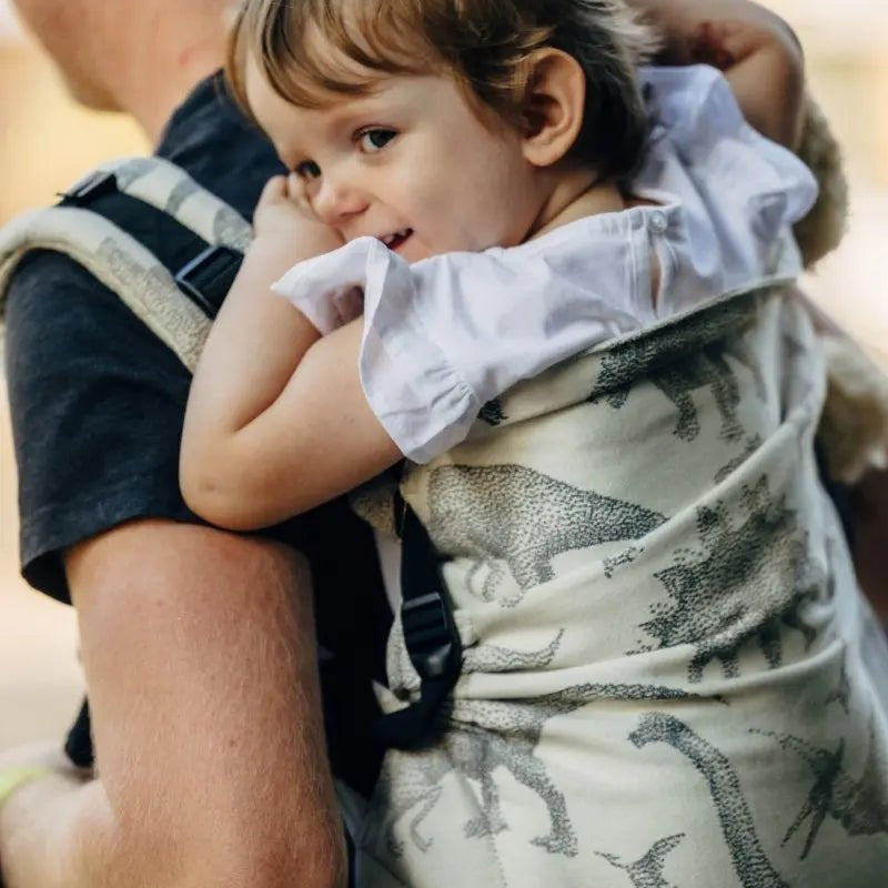 Jurassic Park Ice Desert LennyPreschool Carrier by LennyLamb - Buckle CarrierLittle Zen One5907557782142