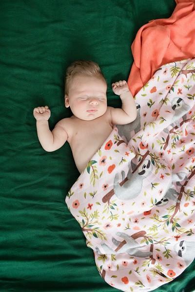 Tula Blanket Set - Just Hanging - Baby Carrier AccessoriesLittle Zen One