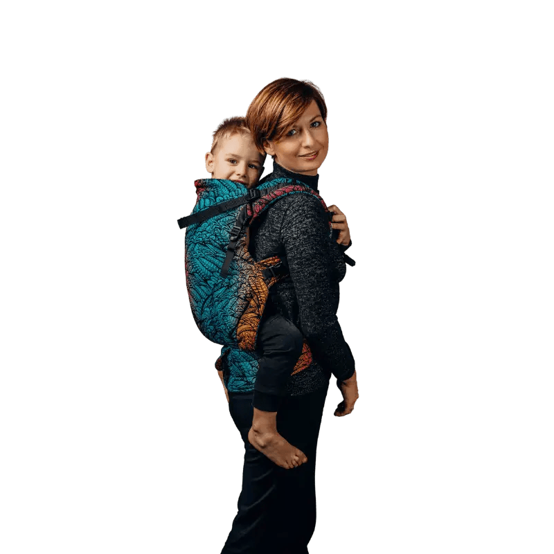 Wild Soul LennyPreschool Carrier
