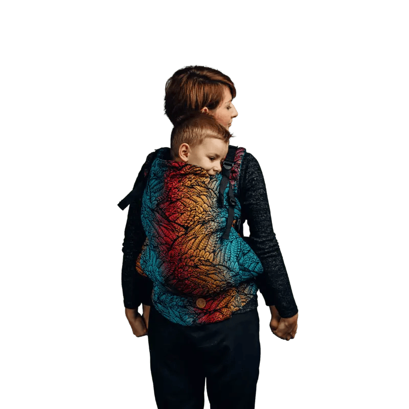 Wild Soul LennyPreschool Carrier
