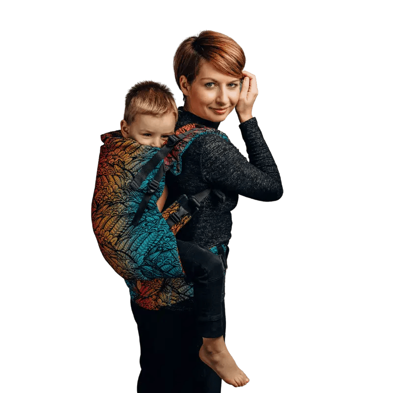 Wild Soul LennyPreschool Carrier